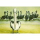 GREETING CARD AINSLIE ROBERTS-THE BLACK PELICAN